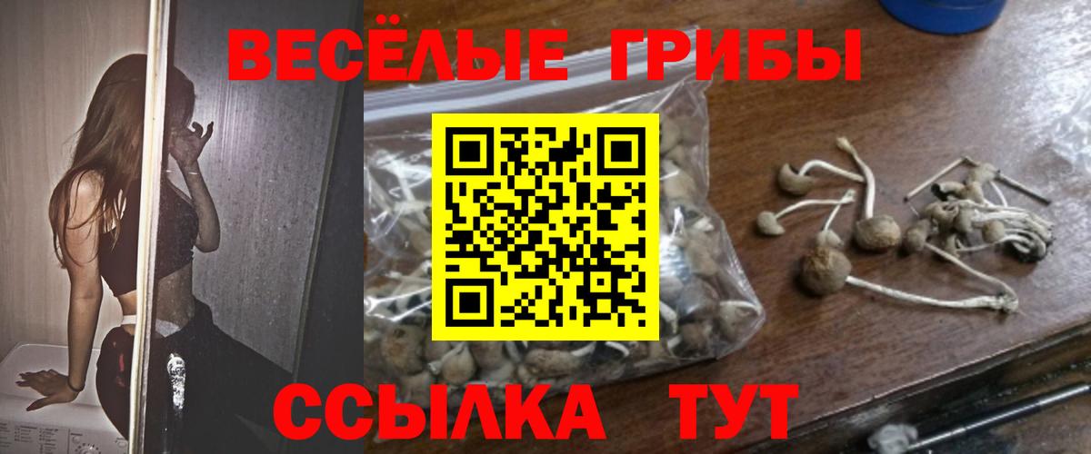 Костомукша  Псилоцибиновые грибы ЛСД  Вход с VPN 